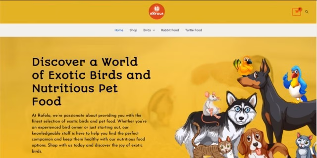 Untitled design - 1 Professional Business Website Design | Display Rack India | FastestRank Portfolio